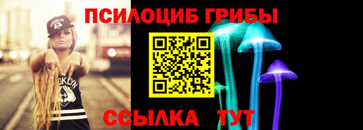 Псилоцибиновые грибы Psilocybine cubensis Барабинск